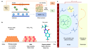Amide katalyseert chloorproductie