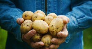 Duurzaam en gezond aardappelzetmeel