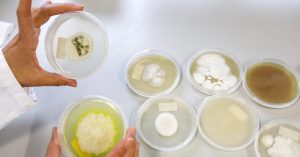 Zymofix zet in op groei