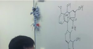 Intermoleculaire Diels-Alder is laatste stap in supercomplexe natuurstof