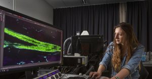 Colinda Scheele zit met innovatieve microscopie de kankerstamcel op de hielen