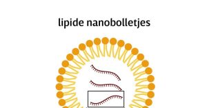 Hoe maak je een mRNA-vaccin?