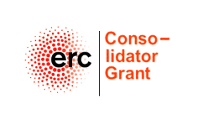 ERC Consolidator Grants: het kost wat tijd, maar dan heb je ook wat