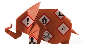 Van een olifant een veiligheidssituatie maken
