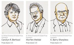 Bio-orthogonale klikchemie krijgt Nobelprijs Scheikunde 2022
