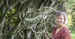 ‘Advanced biofuels zijn alleen een oplossing voor de kortere termijn’