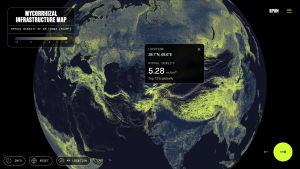 Globale biomassa schimmelnetwerken bepaald